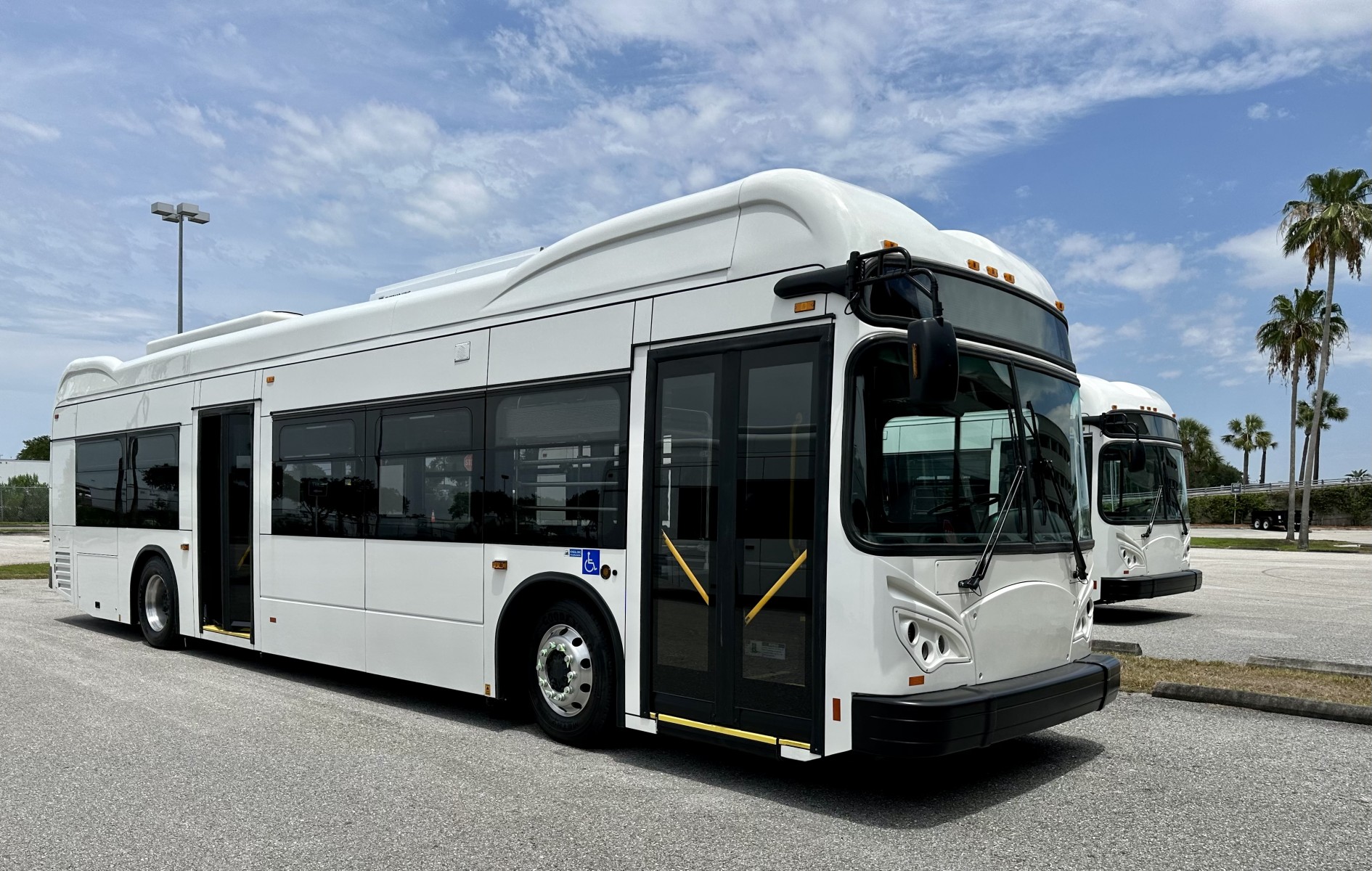 TPA Electric Buses