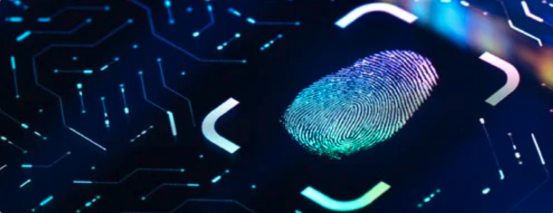 Graphic of a neon multicoloured fingerprint on a black screen