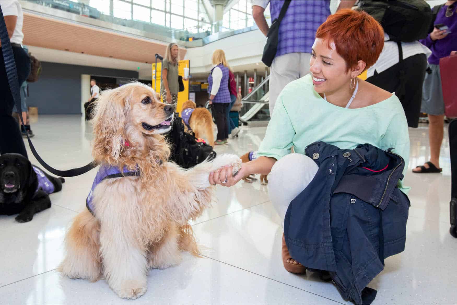 Denver International Airport's CATS programme