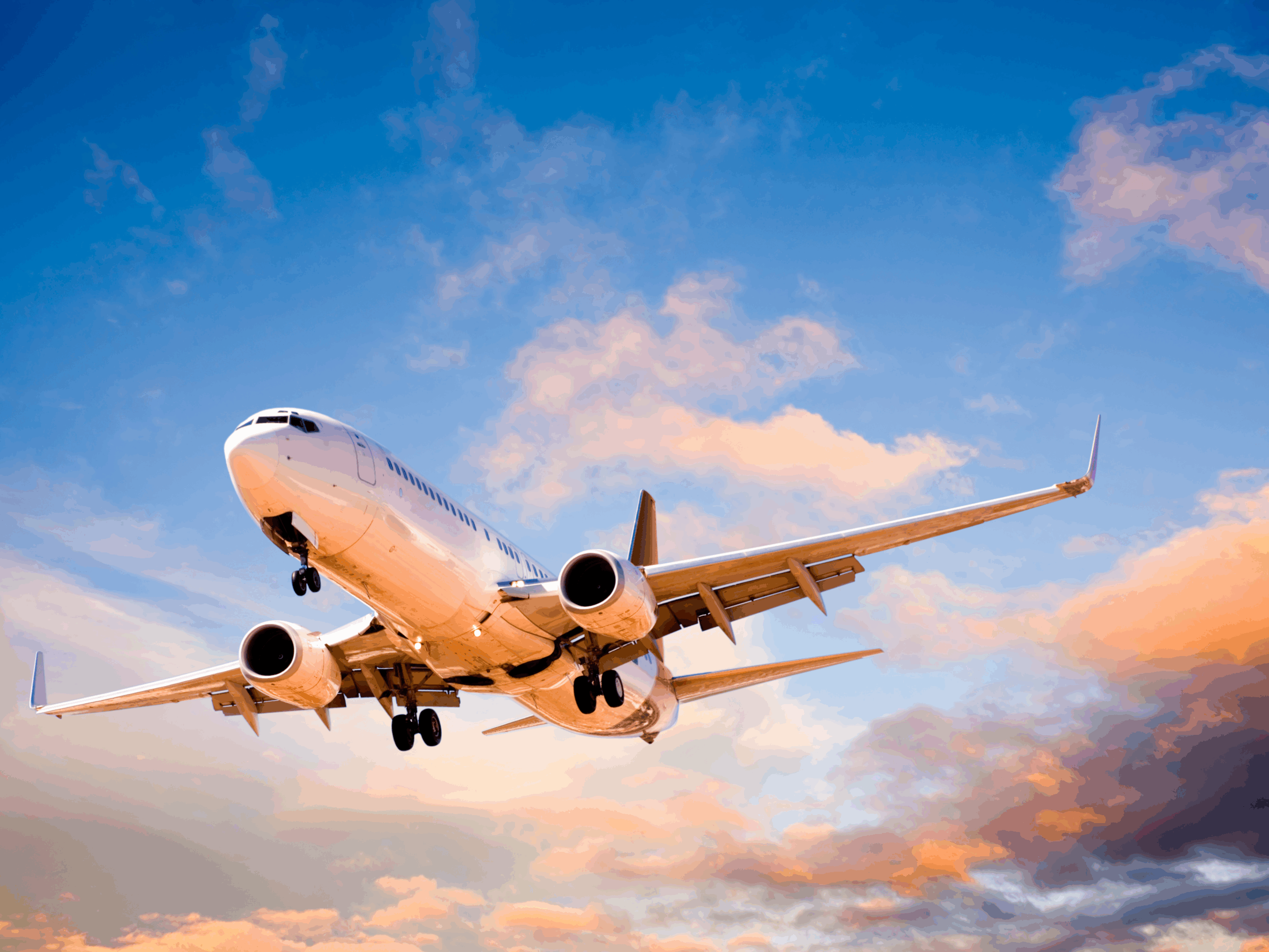 The results show that while environmental issues remain important, 63% of respondents rank punctual arrivals and departures as their leading priority