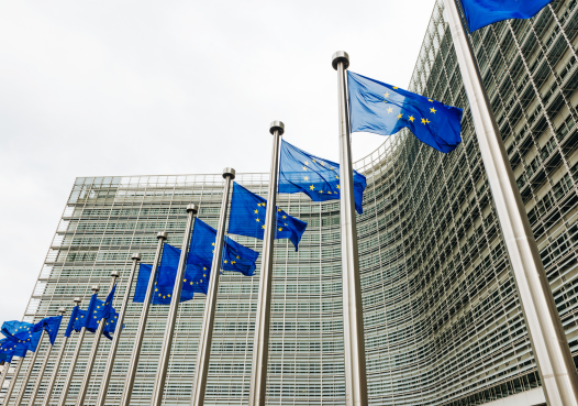 European Union Flags