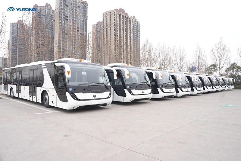 A row of white buses